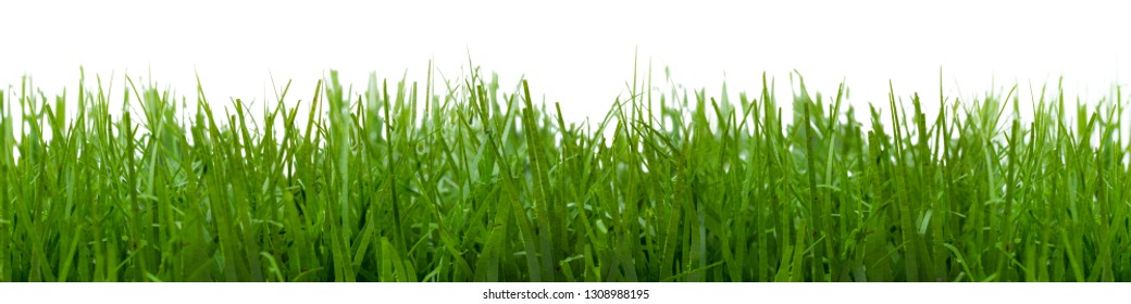 134 Culm grassland Images, Stock Photos & Vectors | Shutterstock