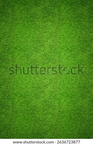 Grass texture - top view of seamless background pattern
