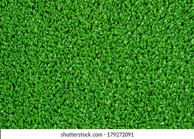 grass texture / grass wall