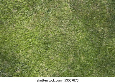 Grass Top Down View