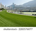 grass track for horse racing in town