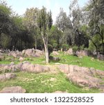 grass with tree