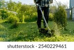 grass trimmer on the grass or in the hands of a gardener