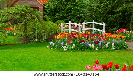 grass and tulips flowerbed to hut in the spring flower garden Keukenhof, Netherlands, web banner format