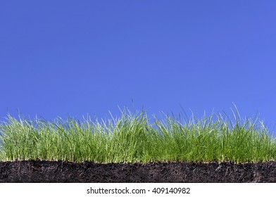 Grass turf with topsoil and root structure against a blue sky background.