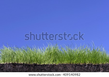 Grass turf with topsoil and root structure against a blue sky background.