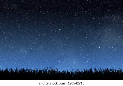 Grass Under The Night Sky