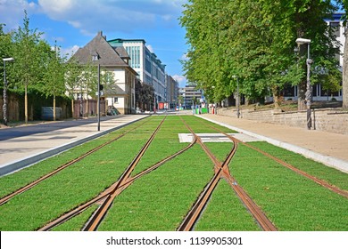 Grassed Tramway Track - New Tramway Line