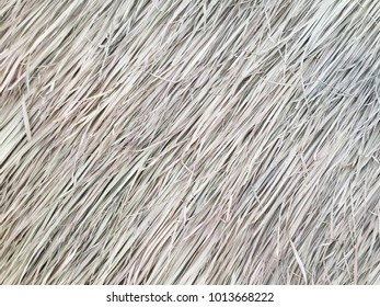 Grasses Thatch Roof Background Texture Wallpaper Stock Photo 1013668222 