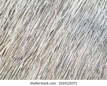 Grasses Thatch Roof Background Texture Wallpaper Stock Photo 1013668222 ...