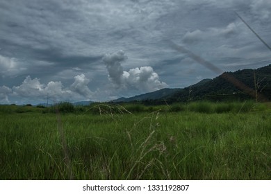 Grassfield and a Cloudy Sky