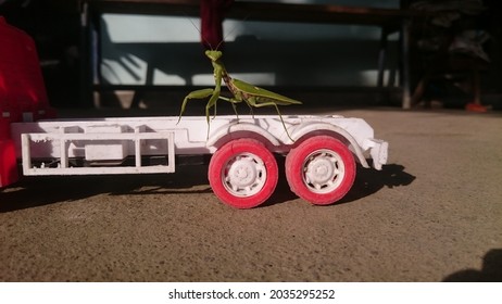 A Grasshopper Exposed To The Sun On A Toy Truck Tire