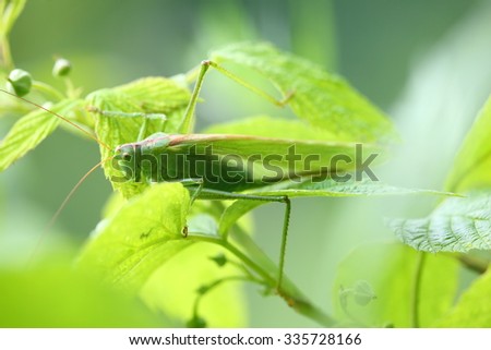 Similar – Image, Stock Photo time for togetherness