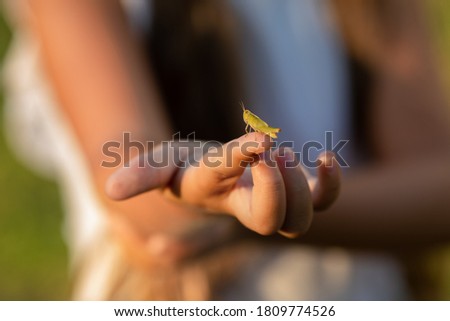 A grasshopper on a finger