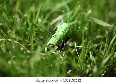 Grasshopper Toy Solar Powered Green Grass