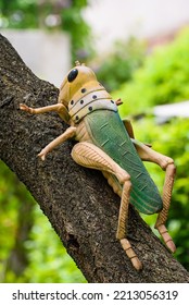 Grasshopper As A Yard Toy