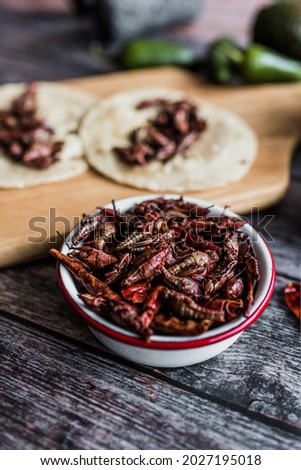 grasshoppers or chapulines snack. Traditional mexican food from Oaxaca Mexico