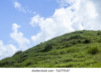 A grassland