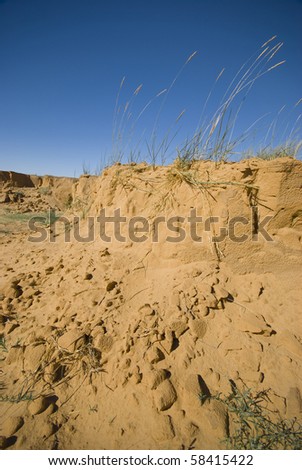 desertification of asian grasslands Photoshop cum facial