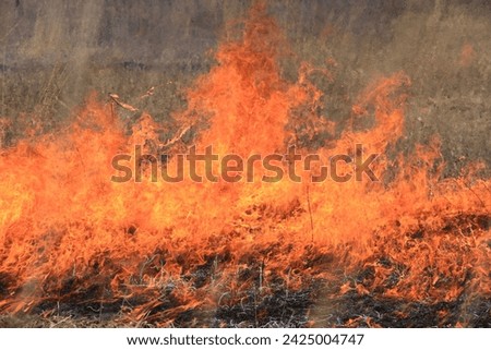 grassland fire ablaze in the spring