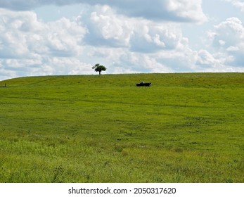 Grassland In The Kansas Flint Hills.