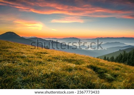 Grassland in the mountains at sunset with sunbeams.