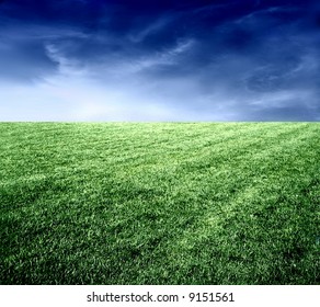 A Grassland In The Night