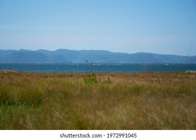 Grassland On Shikoku Island, Japan.