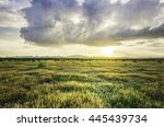 grassland, a prairie, a pampas, a pasture