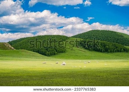 Grassland scenery in Inner Mongolia, China