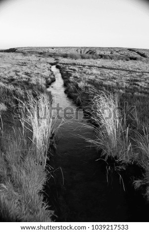 Similar – parted Meadow Field Coast