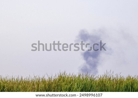 Similar – Image, Stock Photo smoke sign Bottle