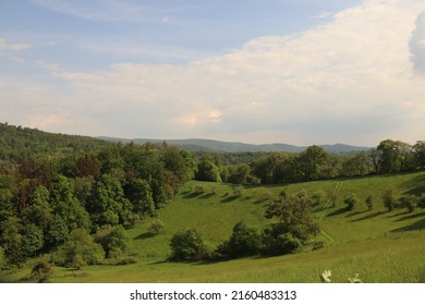 Grassland with trees and sunlight - Shutterstock ID 2160483313