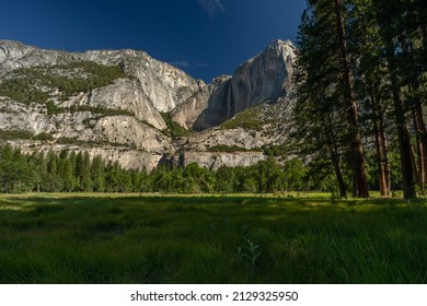 Grassland In Yosemite National Park With Yosemite Falls On A Sunny Summer Day With Blue Sky; Copy Space
