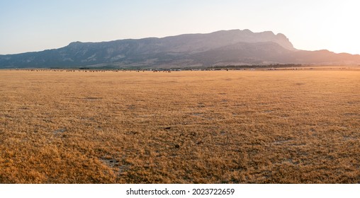 Grasslands of Dasht Arjan. wide panorama with autumn grass field and mountains in background at evening time, Typical autumnal scenery of Fars Province, iran - Shutterstock ID 2023722659