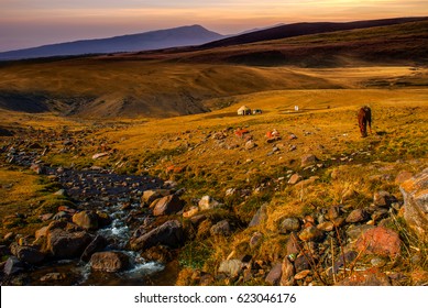 Grasslands Of Kazakhstan, Central Asia