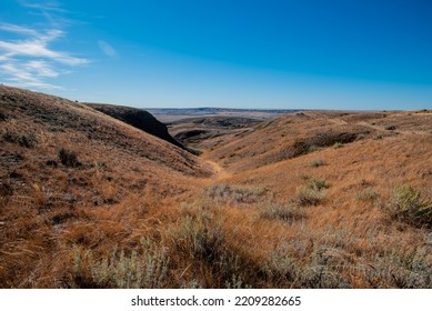 Grasslands National Park In Autumn