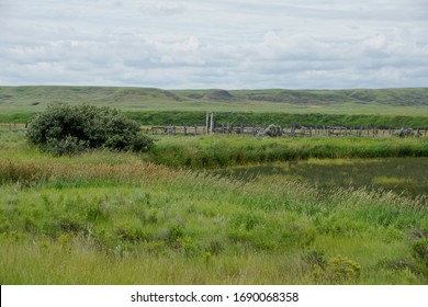 Grasslands National Park In Saskatchewan Canada