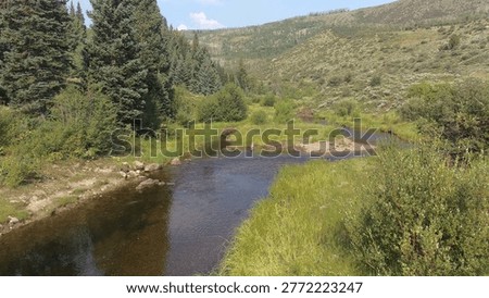 A grassy banked stream meanders through a gentle mountain valley. Thick spruce forest grows the left and a sagebrush covered hill lies in the background. August 2017; Eagles Nest Wilderness, Colorado, USA
