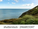 A grassy cliff overlooking the shimmering ocean on a sunny day, with fluffy clouds dancing in the blue sky and the sound of waves crashing onto the beach below