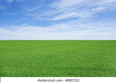 Grassy Field