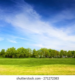 Grassy Field And Trees With Blue Sky On Background, Landscape In Summer Day