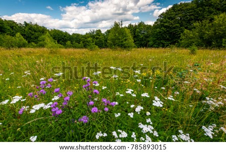 Similar – Image, Stock Photo Herbs idyll at the Inn