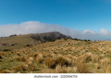 Grassy Hill And Blue Sky At Port Hills, Christchurch, New Zealand.