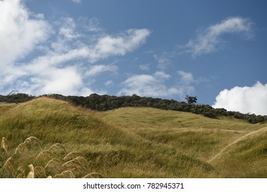 Grassy Hill and Clouds