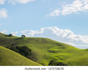 A grassy hill on a sunny day seen on a hike at Mission Peak in California.