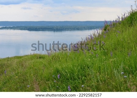 A grassy hill with a river and an island in the background, copy space 