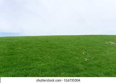 The Grassy Hill And The Sky