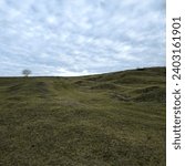 A grassy hill with a tree in the distance