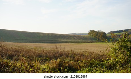 Grassy Hills In The South Downs, West Sussex On A Sunny Winter Morning. 